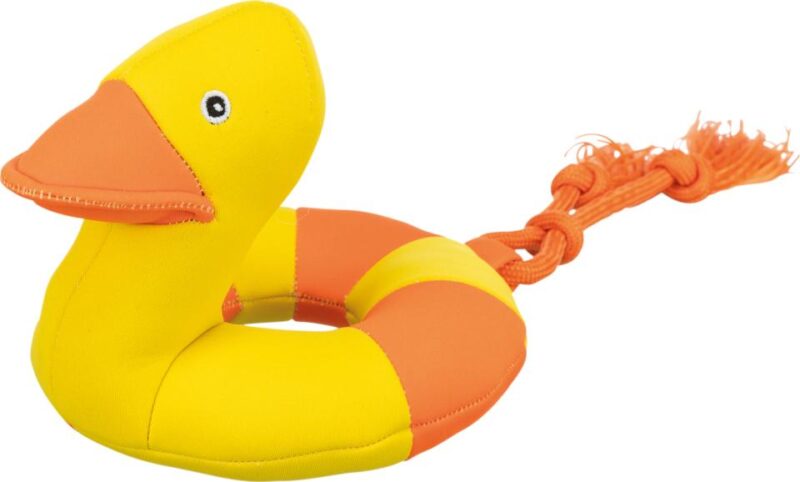 Aqua flyteleke And