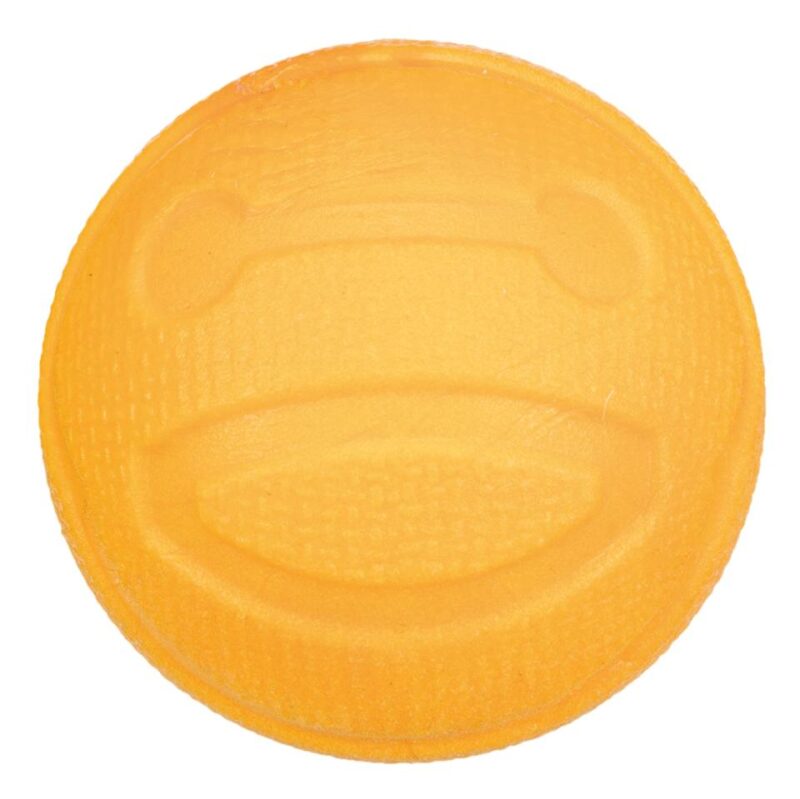 Aqua flyteleke ball